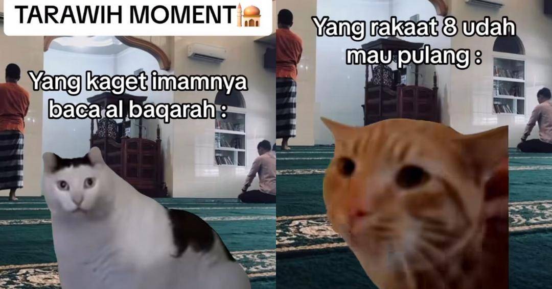 12 Meme Kucing Salat Tarawih, Kocak Ada yang Buru-Buru Mau Pulang